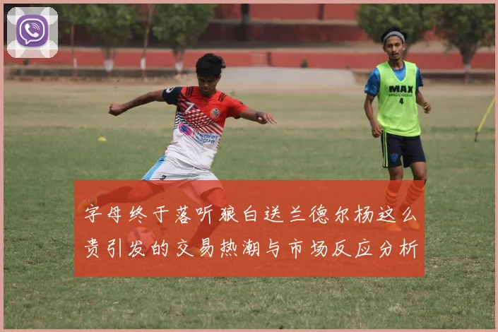 字母终于落听狼白送兰德尔杨这么贵引发的交易热潮与市场反应分析